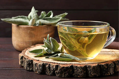 Green Tea Caffeine